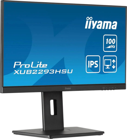 Монитор Iiyama 21.5" ProLite XUB2293HSU-B6 FHD IPS LED черный