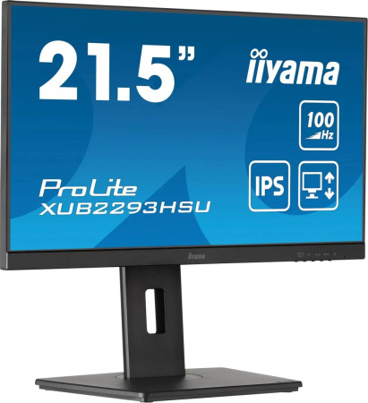 Монитор Iiyama 21.5" ProLite XUB2293HSU-B7 FHD IPS LED черный