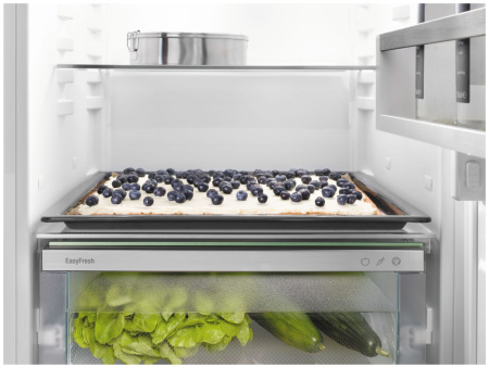 Встраиваемый холодильник Liebherr IRd 5100