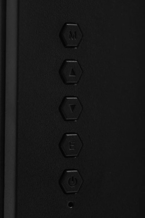 Монитор SunWind 23.8" SM-24FV222 FHD VA черный SM24VB01