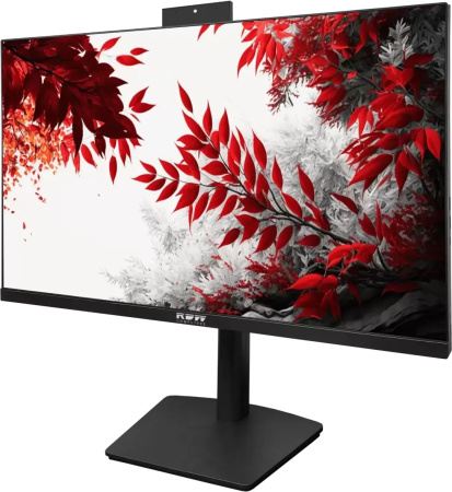 Монитор RDW Computers 24" 2402K F02В3100V2A1