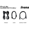 Монитор Iiyama 23.8" ProLite XUB2497HSU-W2 FHD IPS LED белый