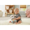 Игрушка для засыпания Fisher Price Выдра FXC66