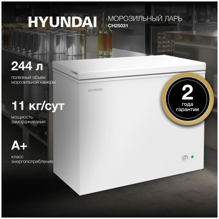 Морозильный ларь Hyundai CH25031