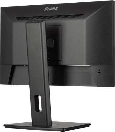 Монитор Iiyama 21.5" ProLite XUB2293HSU-B6 FHD IPS LED черный