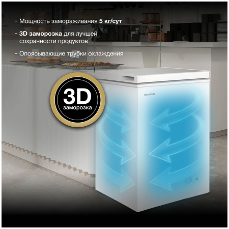 Морозильный ларь Hyundai CH10031