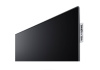 Loewe We. SEE 55 oled coal black