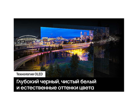 Телевизор Samsung QE55S90DAUXCE