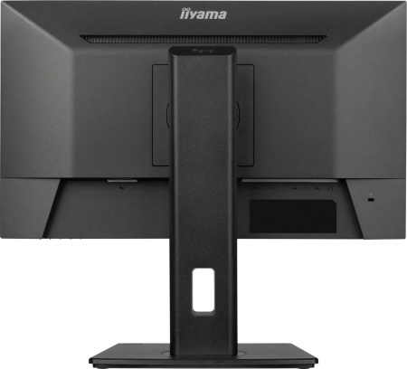 Монитор Iiyama 21.5" ProLite XUB2293HSU-B6 FHD IPS LED черный