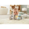Игрушка для засыпания Fisher Price Выдра FXC66