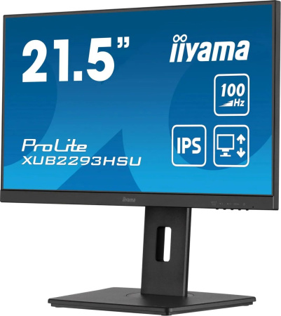 Монитор Iiyama 21.5" ProLite XUB2293HSU-B6 FHD IPS LED черный