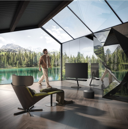 Loewe inspire 55 OLED basalt grey